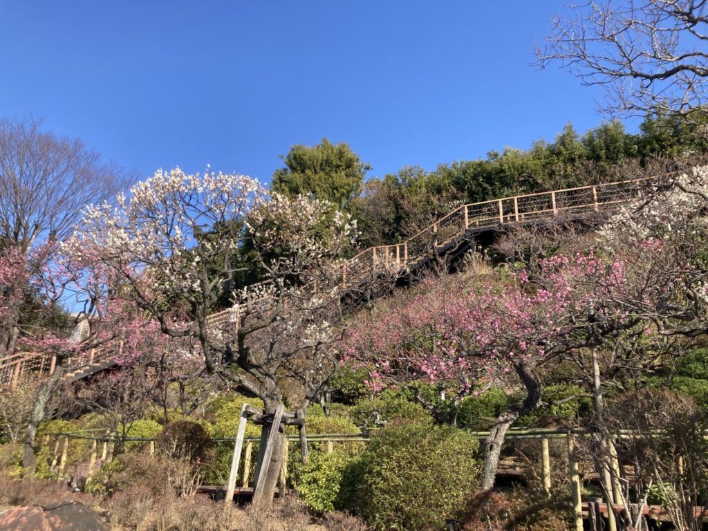 池上梅園